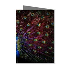 Peacock Feathers Mini Greeting Cards (pkg Of 8) by Wav3s