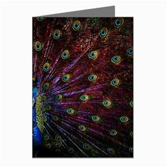 Peacock Feathers Greeting Cards (pkg Of 8) by Wav3s