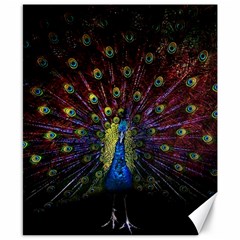 Peacock Feathers Canvas 8  X 10  by Wav3s