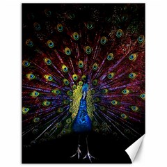 Peacock Feathers Canvas 12  X 16  by Wav3s