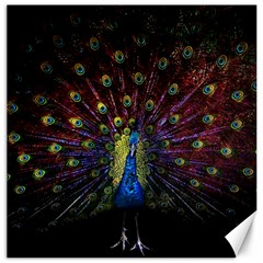 Peacock Feathers Canvas 20  X 20  by Wav3s