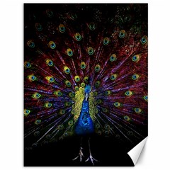 Peacock Feathers Canvas 36  X 48  by Wav3s