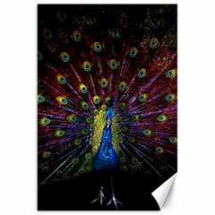 Peacock Feathers Canvas 20  X 30  by Wav3s