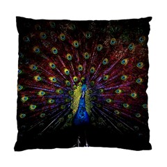 Peacock Feathers Standard Cushion Case (two Sides) by Wav3s