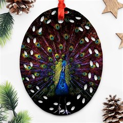 Peacock Feathers Oval Filigree Ornament (two Sides) by Wav3s