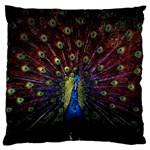 Peacock Feathers Large Cushion Case (Two Sides) Front