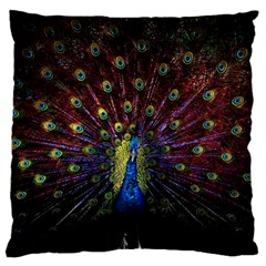 Peacock Feathers Standard Premium Plush Fleece Cushion Case (two Sides) by Wav3s