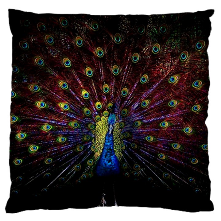 Peacock Feathers Large Premium Plush Fleece Cushion Case (One Side)