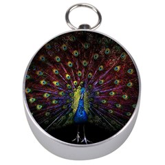 Peacock Feathers Silver Compasses by Wav3s