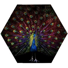 Peacock Feathers Wooden Puzzle Hexagon by Wav3s