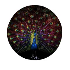 Peacock Feathers Mini Round Pill Box (pack Of 3) by Wav3s