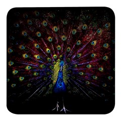 Peacock Feathers Square Glass Fridge Magnet (4 Pack) by Wav3s