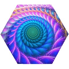 Peacock Feather Fractal Wooden Puzzle Hexagon by Wav3s