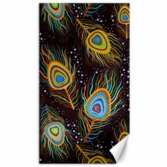 Pattern Feather Peacock Canvas 40  X 72  by Wav3s