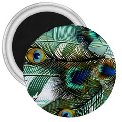 Peacock Feathers Blue Green Texture 3  Magnets by Wav3s