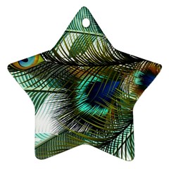 Peacock Feathers Blue Green Texture Ornament (star) by Wav3s