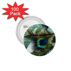 Peacock Feathers Blue Green Texture 1 75  Buttons (100 Pack)  by Wav3s