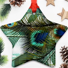 Peacock Feathers Blue Green Texture Ornament (star)