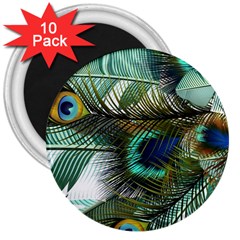 Peacock Feathers Blue Green Texture 3  Magnets (10 Pack)  by Wav3s