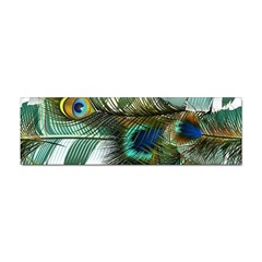 Peacock Feathers Blue Green Texture Sticker (bumper) by Wav3s