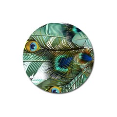 Peacock Feathers Blue Green Texture Magnet 3  (round) by Wav3s