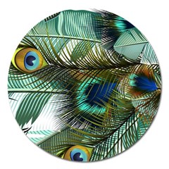 Peacock Feathers Blue Green Texture Magnet 5  (round) by Wav3s