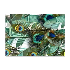 Peacock Feathers Blue Green Texture Sticker A4 (10 Pack) by Wav3s