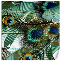 Peacock Feathers Blue Green Texture Canvas 12  X 12  by Wav3s