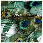 Peacock Feathers Blue Green Texture Canvas 12  x 12  11.4 x11.56  Canvas - 1