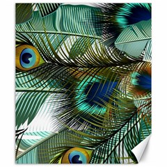 Peacock Feathers Blue Green Texture Canvas 20  X 24  by Wav3s