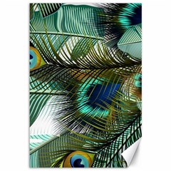 Peacock Feathers Blue Green Texture Canvas 12  X 18  by Wav3s