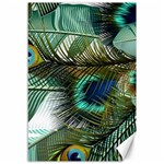 Peacock Feathers Blue Green Texture Canvas 12  x 18  11.88 x17.36  Canvas - 1