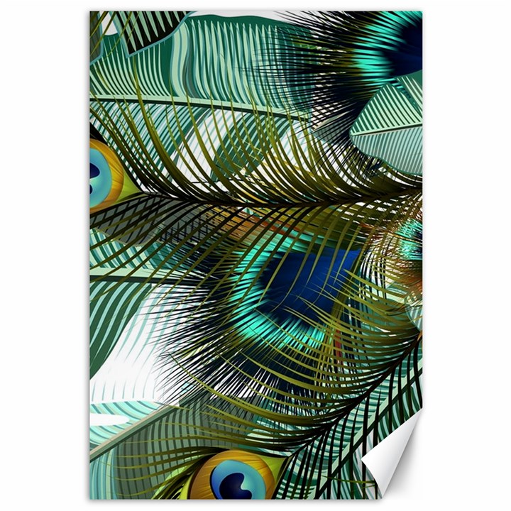 Peacock Feathers Blue Green Texture Canvas 12  x 18 