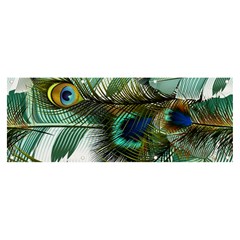 Peacock Feathers Blue Green Texture Banner And Sign 8  X 3  by Wav3s