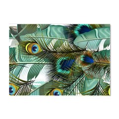 Peacock Feathers Blue Green Texture Crystal Sticker (a4) by Wav3s