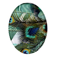 Peacock Feathers Blue Green Texture Oval Glass Fridge Magnet (4 Pack) by Wav3s