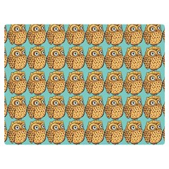 Owl Bird Pattern Two Sides Premium Plush Fleece Blanket (Extra Small)