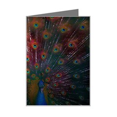 Red Peacock Feather Mini Greeting Card by Cowasu