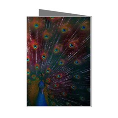 Red Peacock Feather Mini Greeting Cards (pkg Of 8) by Cowasu