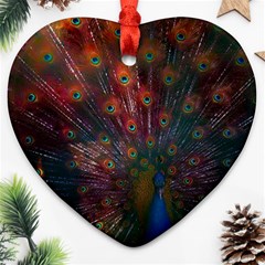 Red Peacock Feather Heart Ornament (two Sides) by Cowasu