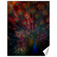 Red Peacock Feather Canvas 12  X 16  by Cowasu