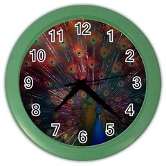 Red Peacock Feather Color Wall Clock by Cowasu