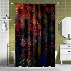 Red Peacock Feather Shower Curtain 48  X 72  (small)  by Cowasu