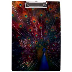 Red Peacock Feather A4 Acrylic Clipboard by Cowasu