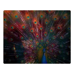 Red Peacock Feather Premium Plush Fleece Blanket (large)