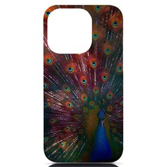 Red Peacock Feather Iphone 14 Pro Black Uv Print Case by Cowasu