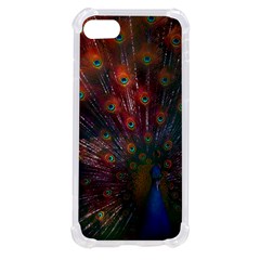 Red Peacock Feather Iphone Se by Cowasu