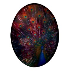 Red Peacock Feather Oval Glass Fridge Magnet (4 Pack)