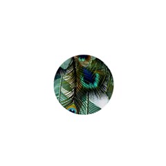 Peacock Feathers Feather Blue Green 1  Mini Magnets by Cowasu