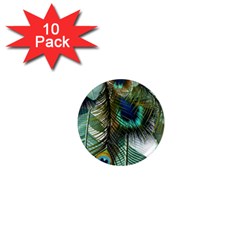 Peacock Feathers Feather Blue Green 1  Mini Magnet (10 Pack)  by Cowasu